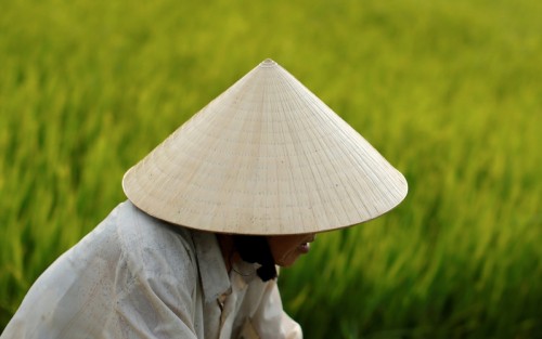 Nón lá đã trở thành biểu tượng văn hóa của phụ nữ Việt Nam. Hãy để mình được mê mẩn bởi vẻ đẹp của những chiếc nón lá phủ kín nắng và gió. Một hình ảnh thật tuyệt vời về sự thanh nhã và nữ tính trong phong cách trang điểm và phụ kiện cho các cô nàng.