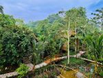 Khơi nguồn cảm xúc từ ″Tre″ với Bamboo Eco Village