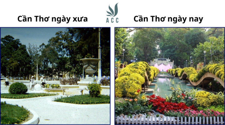Chợ cổ Cần Thơ xưa và nay - Ngôi chợ lịch sử mang đậm nét văn hóa miền Tây