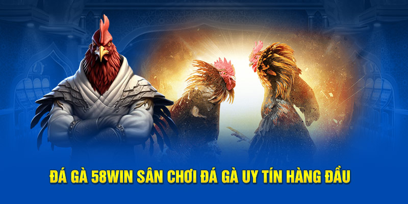 Đá gà 58WIN: Thế giới đỉnh cao của đam mê chiến kê