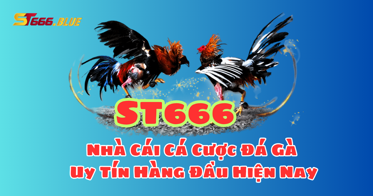 ST666 - Nhà cái cá cược đá gà