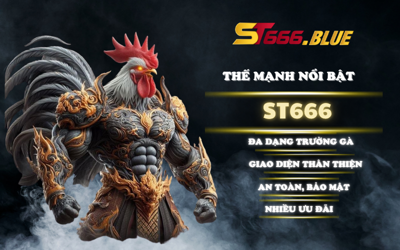 Thế mạnh nổi bật của ST666 trong mảng đá gà