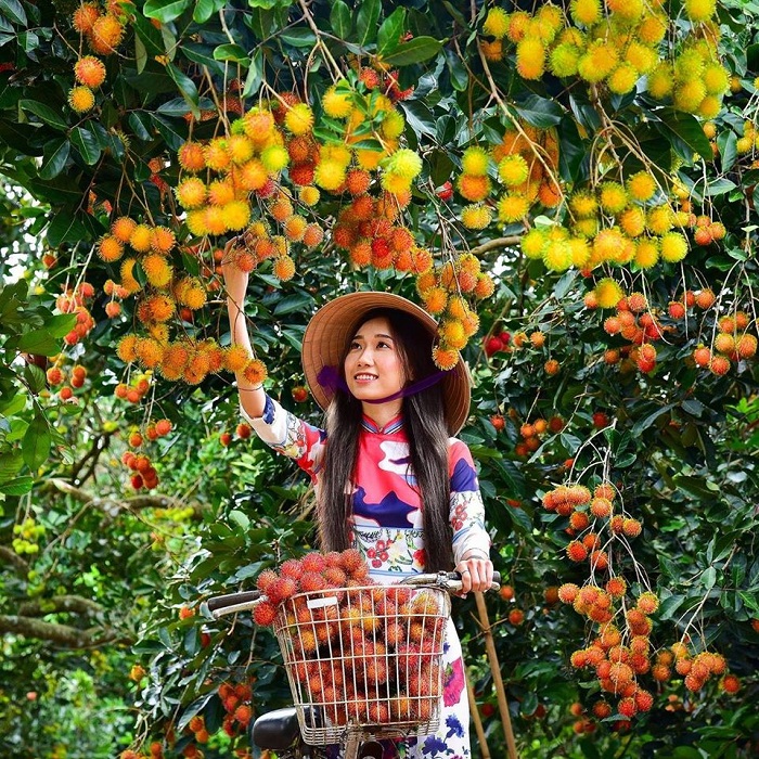 Vườn du lịch Ba Cống - Điểm du lịch miền Tây hấp dẫn với trái cây trĩu quả và không gian yên bình