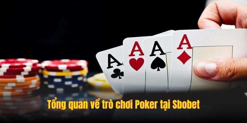 Tổng quan về trò chơi Poker tại Sbobet