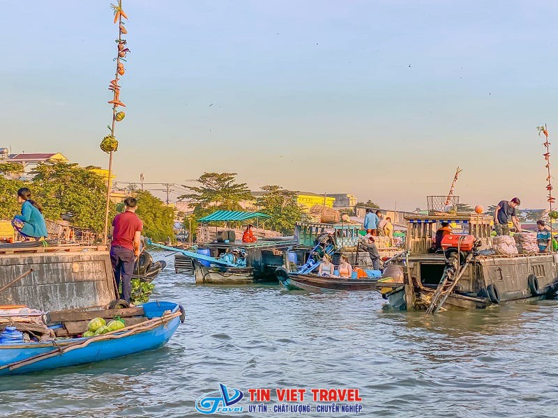 cay beo cho noi cai rang