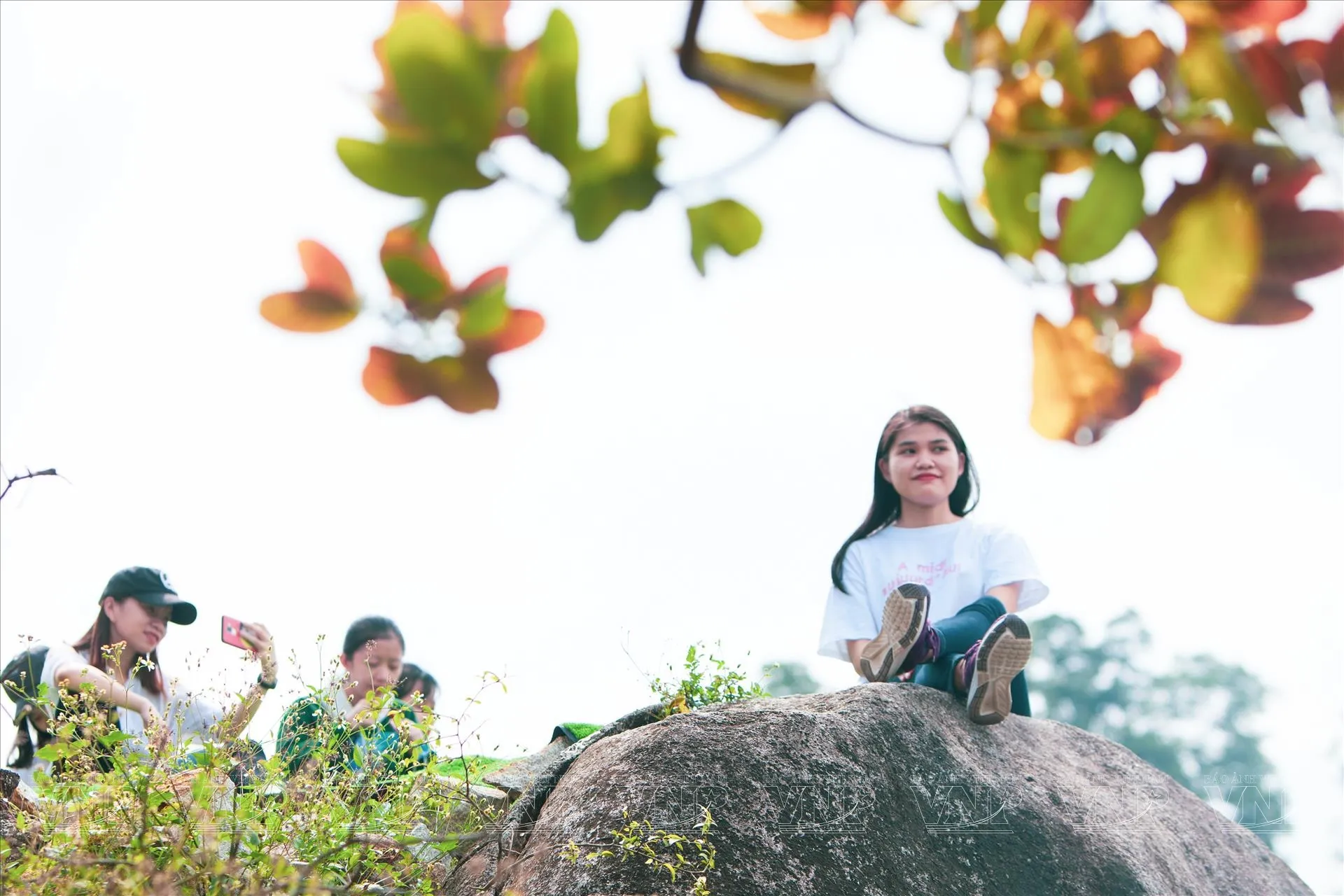 Ngắm toàn cảnh từ chỏm đá: bình minh, mây và đồng bằng Xuân Lộc