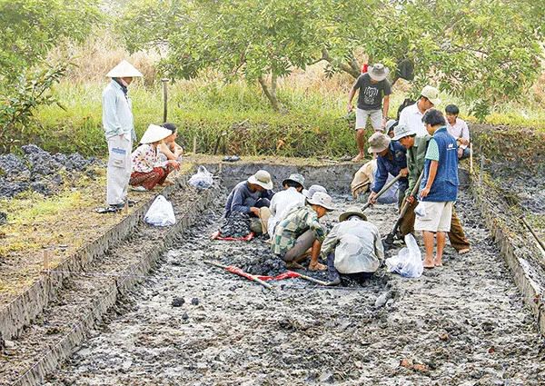 Hố khai quật di tích Óc Eo Nhơn Thành năm 2012 ở Phong Điền, Cần Thơ