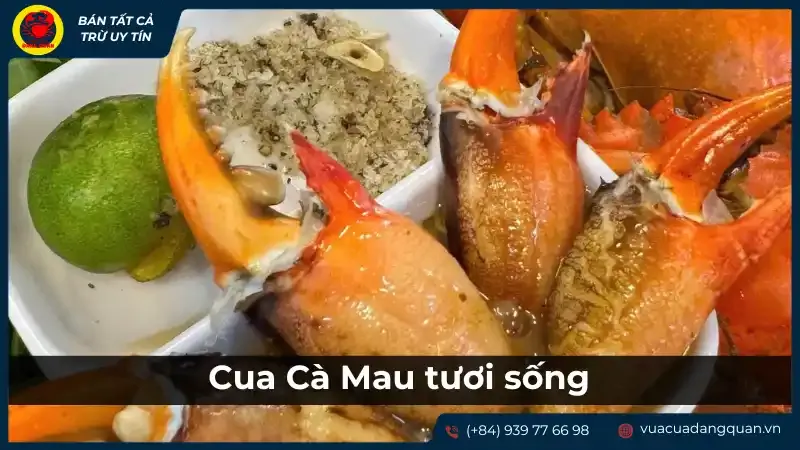 Cua Cà Mau tươi sống tại Cần Thơ, trải nghiệm ẩm thực hải sản khi du lịch miền Tây