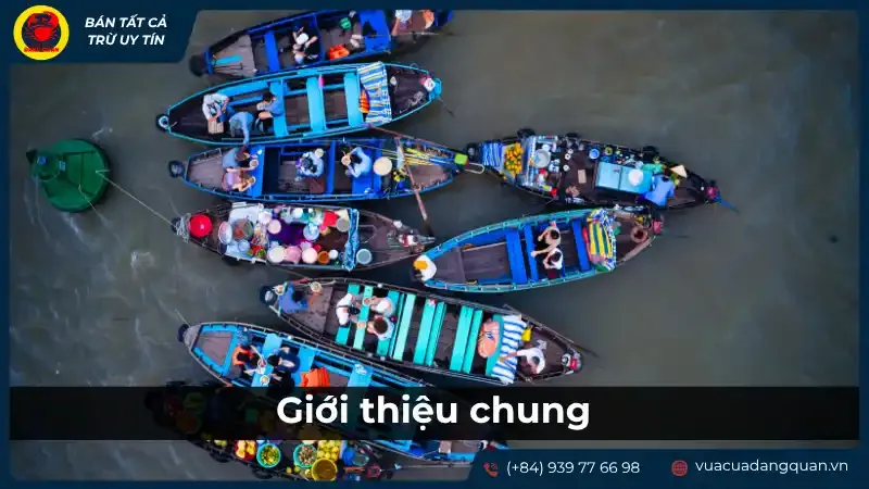 Chợ nổi Cái Răng tấp nập thuyền ghe, điểm check-in du lịch Cần Thơ và văn hóa sông nước