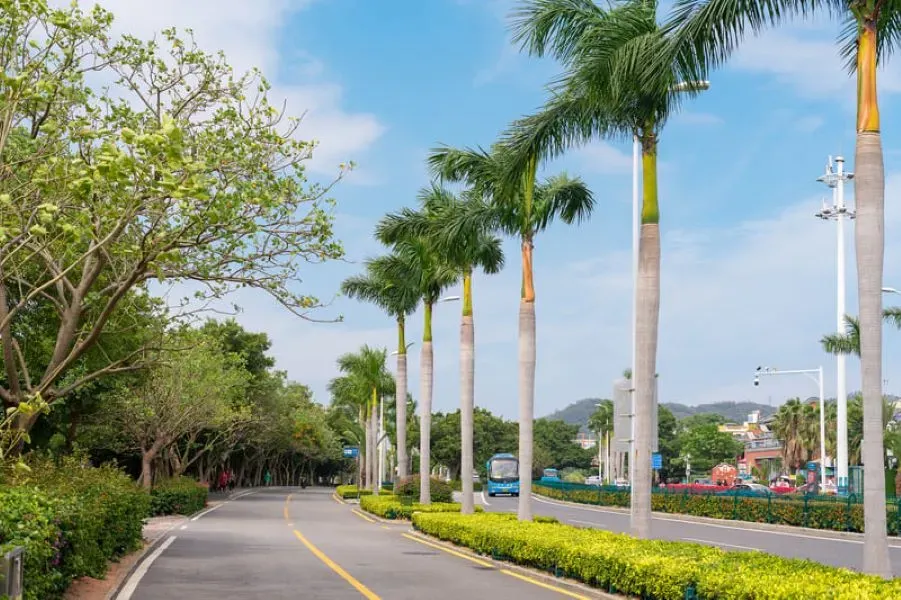 Đạp xe đường ven biển Huandao, trải nghiệm thư thái ở Xiamen