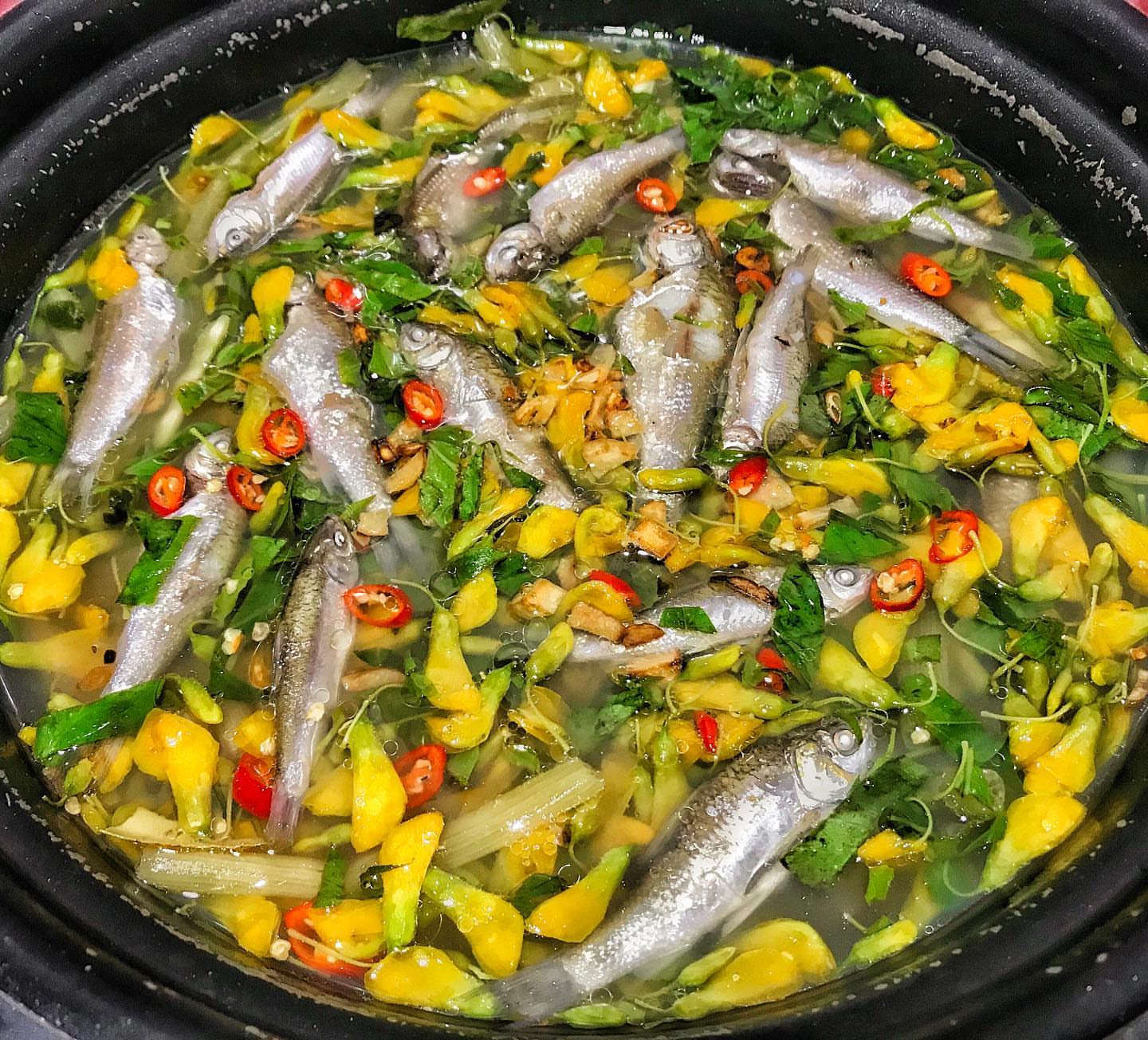 Khám Phá Bí Ẩn Của Bông Điên Điển – Loài Hoa Đặc Biệt