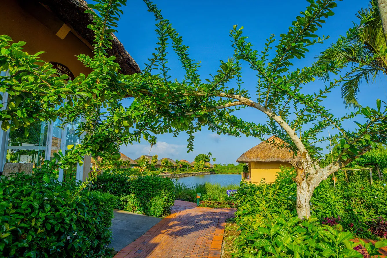 Khu vườn nhiệt đới tại Mekong Riverside Boutique Resort &amp; Spa, gần chợ nổi Cái Bè