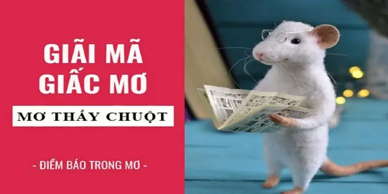 Giải mã giấc mơ thấy chuột đánh con gì