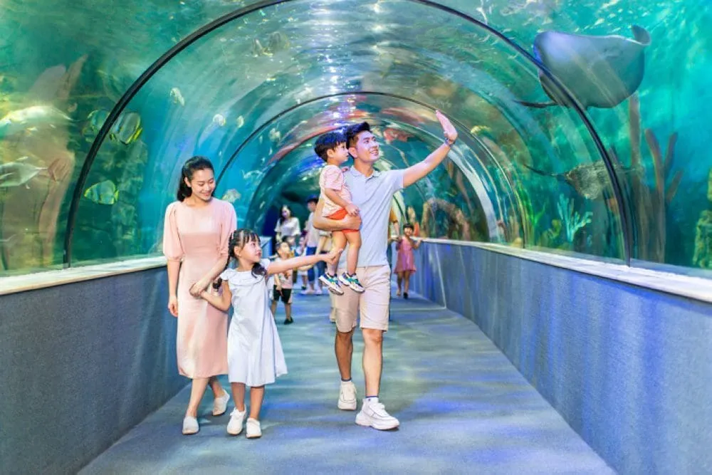 Đường hầm sinh vật biển tại Vinpearl Aquarium Times City – Hà Nội