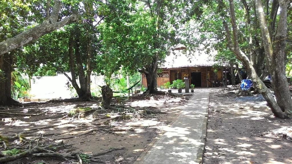 Không gian mặt tiền Út Hiên Homestay với nhà ba gian hai chái và sân vườn xanh mát