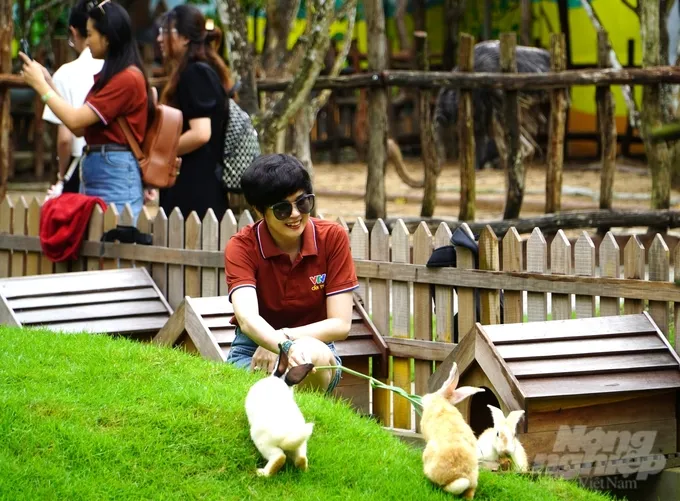 Toàn cảnh khu vườn thú Safari Cần Thơ trong Cần Thơ Eco Resort, không gian xanh phù hợp gia đình