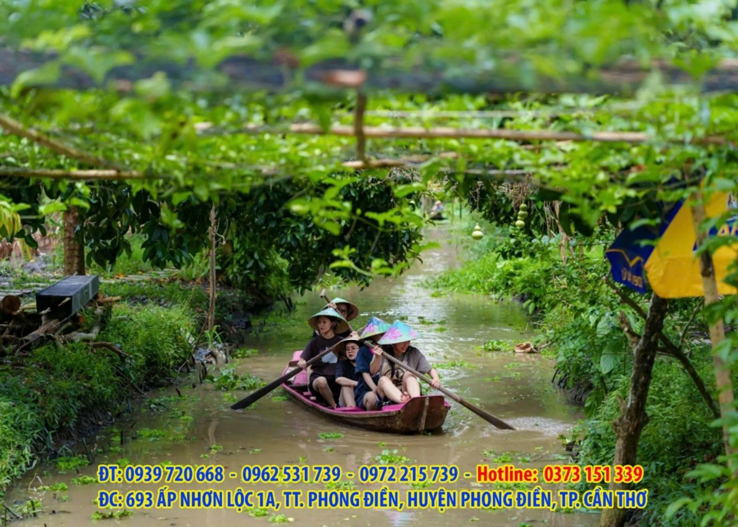 Chèo xuồng ba lá trong khu vườn sinh thái Tuấn Tường, trải nghiệm sông nước đặc trưng Cần Thơ