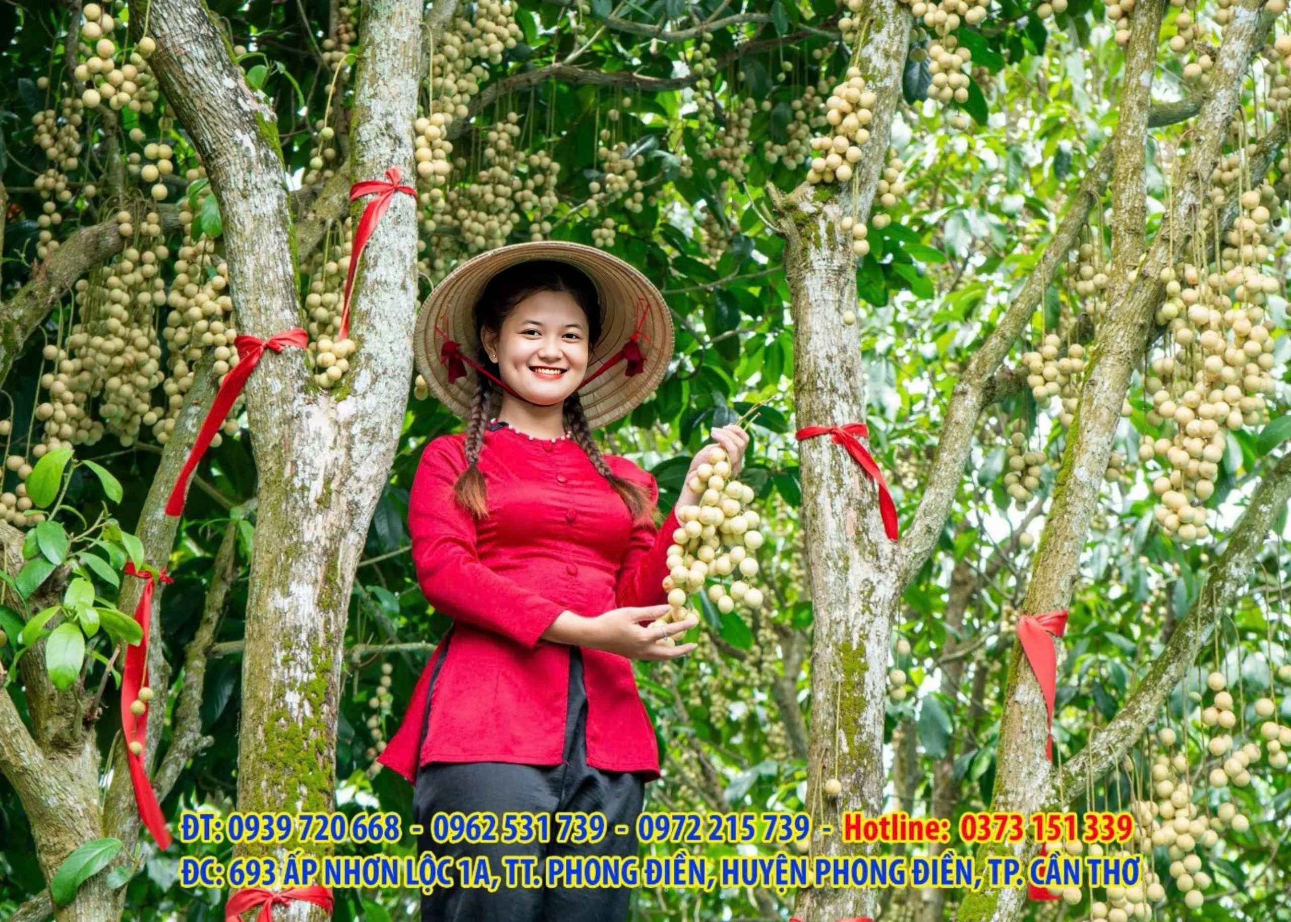 Không gian nghỉ ngơi miệt vườn, gần gũi thiên nhiên tại khu vực Phong Điền gần vườn Tuấn Tường