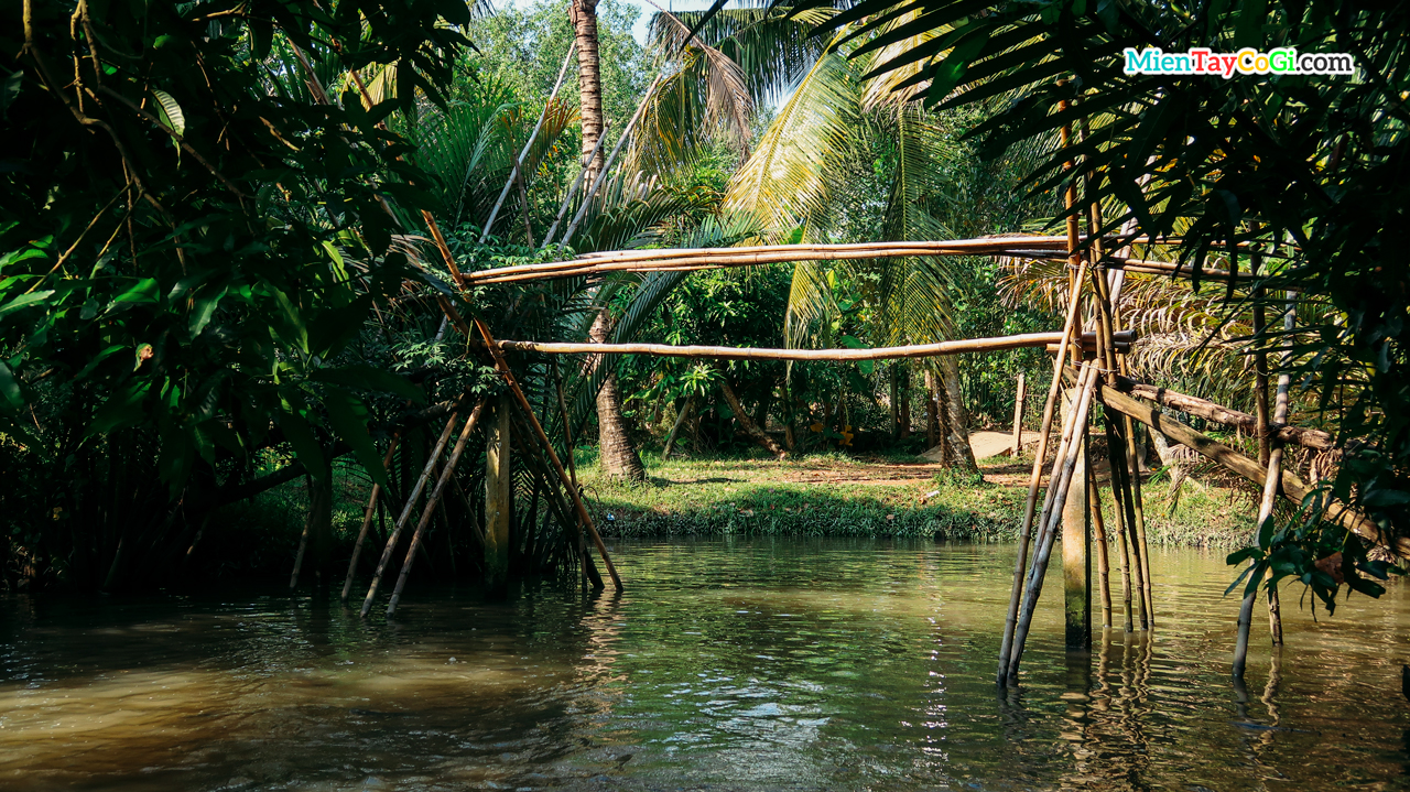 Vườn trái cây Ba Cống Cần Thơ | Có Gì | Cách Đi A-Z