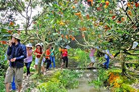 Vườn du lịch Ba Cống