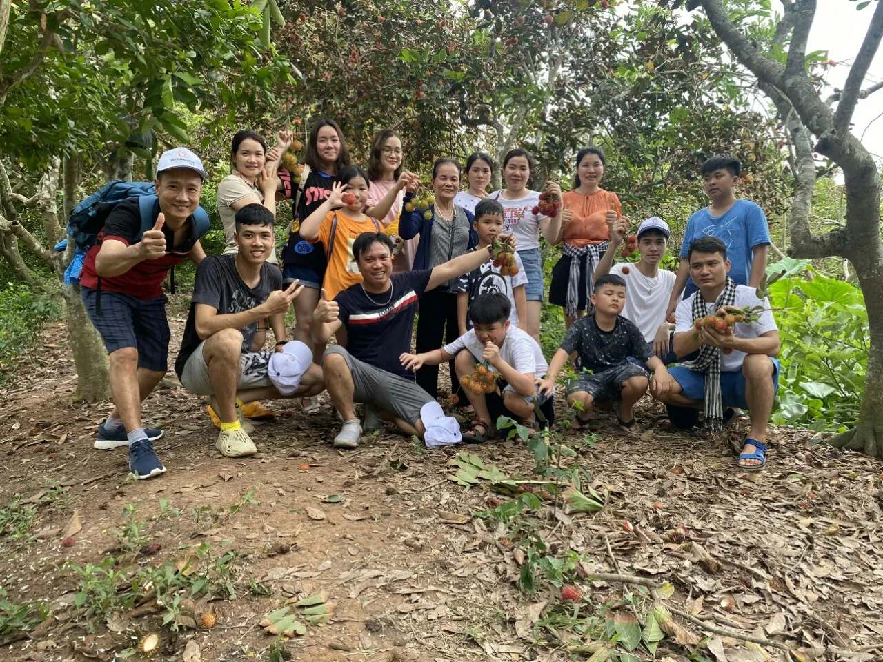 Vườn chôm chôm Cồn Sơn vào mùa trái chín, thích hợp check-in