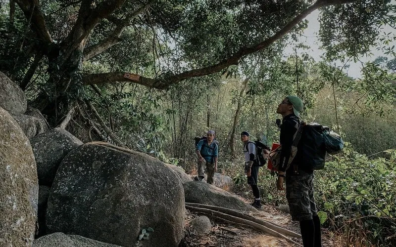Bậc thang trên cung đường chùa lên đỉnh núi Chứa Chan