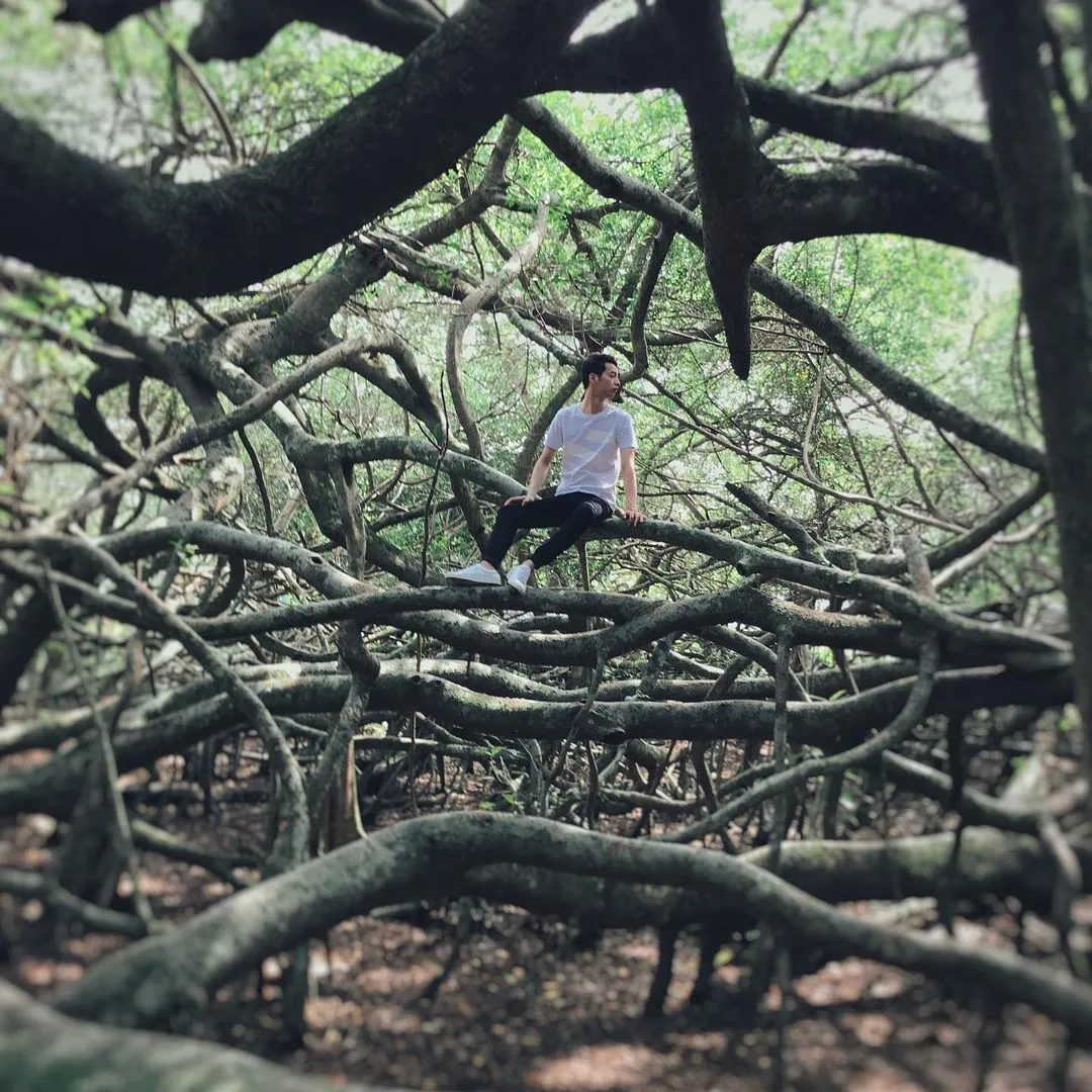 Giàn Gừa tạo mái vòm tự nhiên huyền bí ở Phong Điền