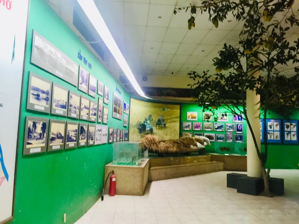 Không gian trưng bày tầng 2 với ánh sáng trang nhã, dễ theo dõi