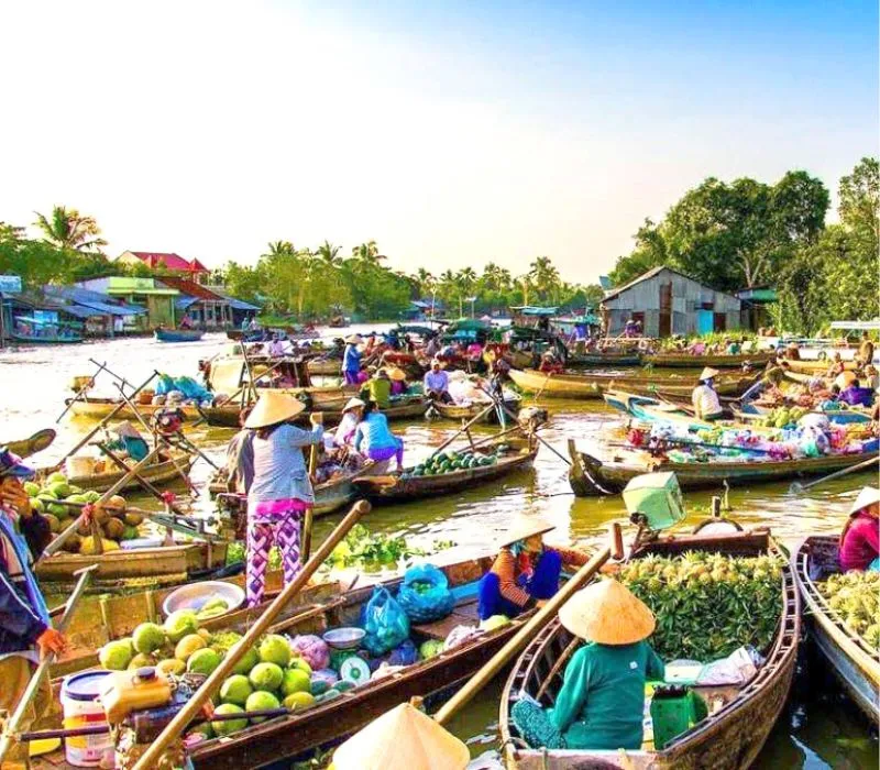 Toàn cảnh chợ nổi Cái Răng nhộn nhịp vào buổi sớm trên sông Cần Thơ