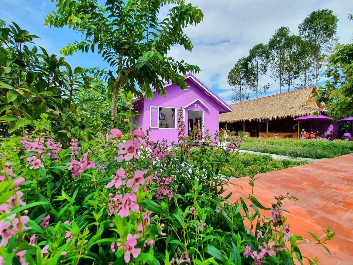 Lộ trình từ trung tâm đi qua Hưng Lợi - Cái Cui - Bến Bạ vào đường Chí Sinh khá thuận tiện