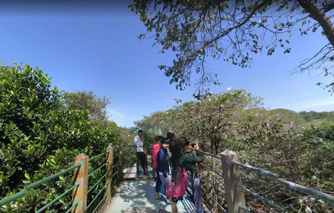 Đài quan sát cao giúp phóng tầm mắt bao quát toàn cảnh vườn cò