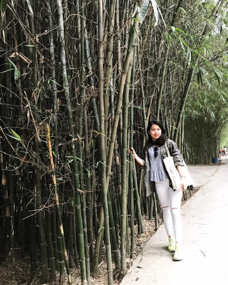 Lối vào vườn với hàng cây xanh - điểm check-in được nhiều du khách yêu thích