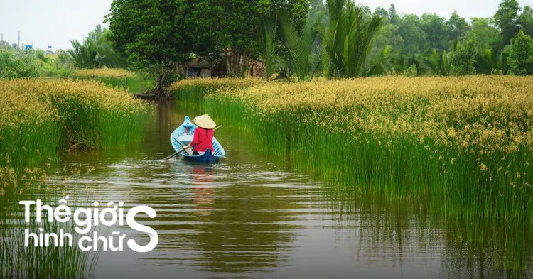 Du lịch miền Tây sông nước – trải nghiệm chợ nổi và miệt vườn
