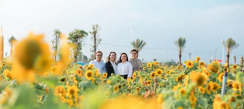 Lối vào cánh đồng hoa hướng dương rực rỡ sắc vàng tại Cần Thơ