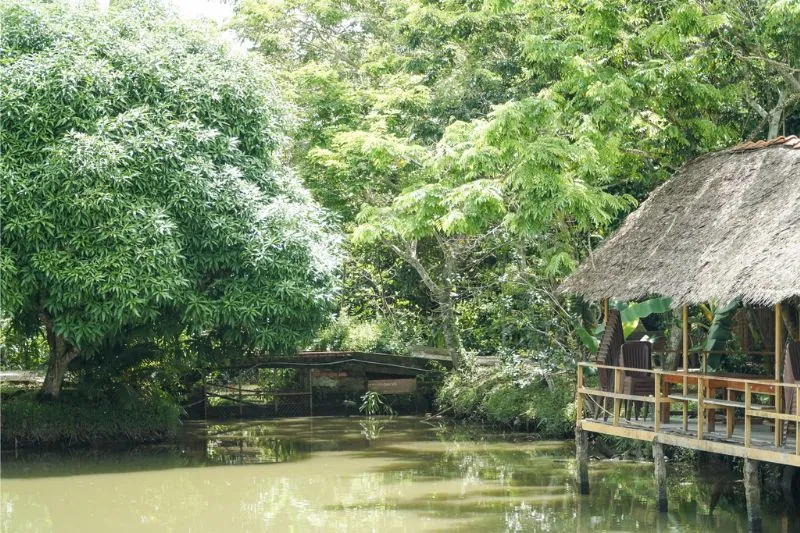 Vườn cây xanh mướt và kênh rạch đan xen tạo nên bức tranh miệt vườn đặc trưng ở Lung Cột Cầu