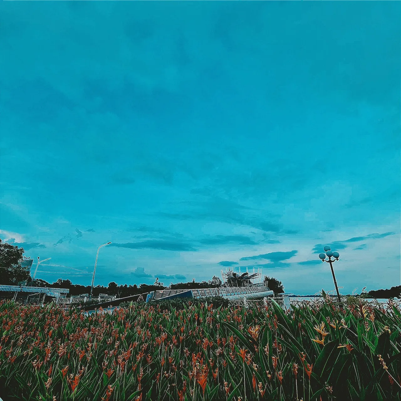 Hai bên lan can rực rỡ hoa theo mùa, điểm xuyết cho khung hình check-in