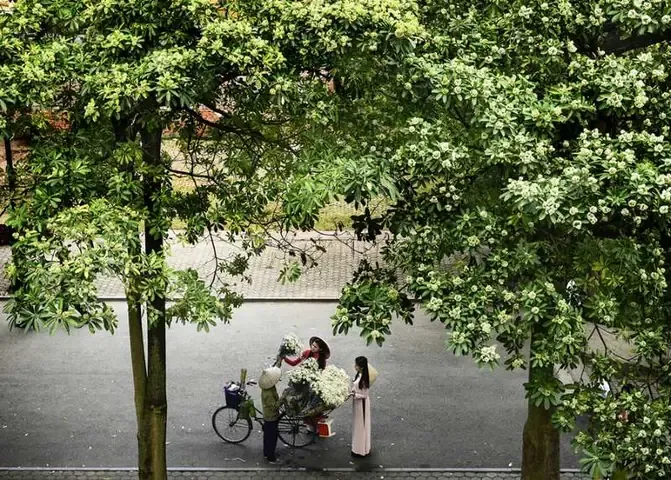 Rừng lá đỏ mùa thu - hình ảnh đặc trưng ở xứ ôn đới