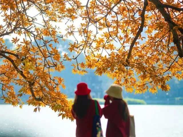 Con đường rợp lá vàng vào giữa mùa thu