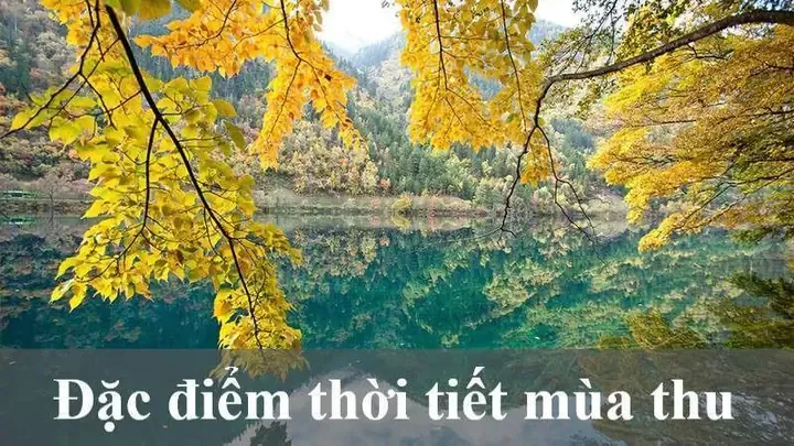 Sương sớm và nắng vàng - tín hiệu đầu mùa thu