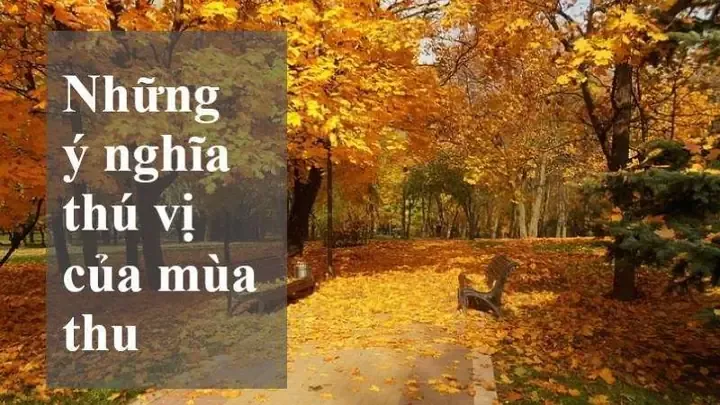 Trung thu và không khí lễ hội ngày thu ở Việt Nam