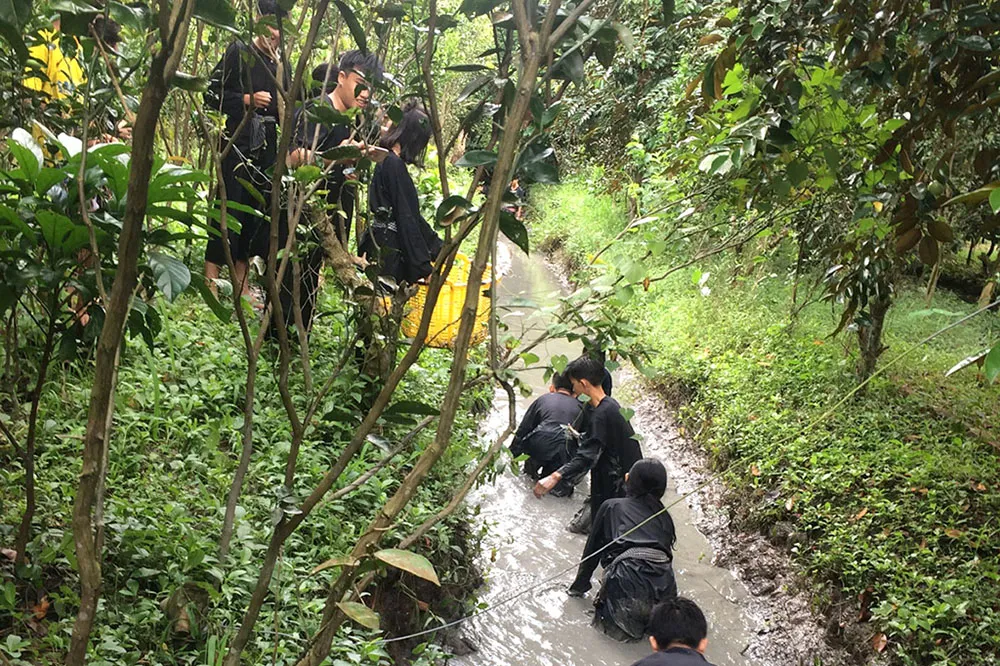 Tát mương bắt cá – trải nghiệm đậm chất miệt vườn khiến ai cũng thích thú