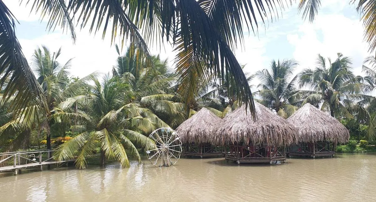 Hàng dừa xanh, chòi lá và lối đi giữa vườn tạo cảm giác yên ả