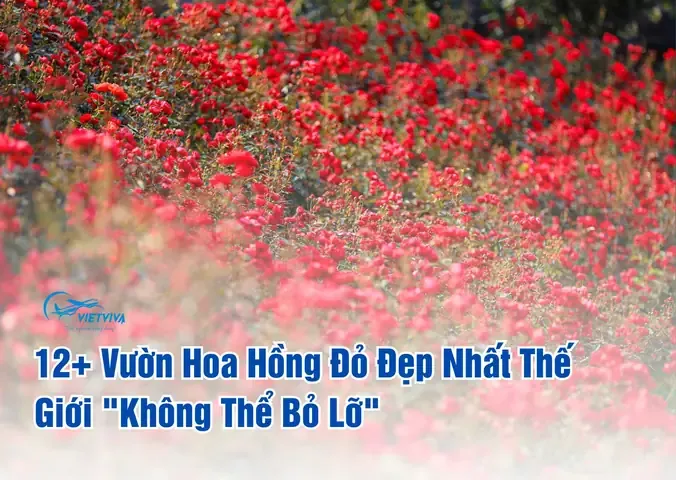 Lối đi dưới vòm hồng đỏ rực rỡ tại một khu vườn nổi tiếng thế giới